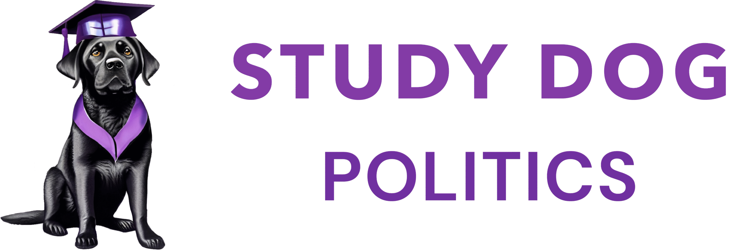 Study Politics